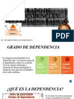 Grado de Dependencia y Necesidades Basicas