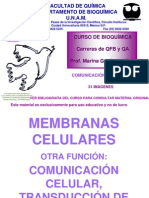 Comunicación celular