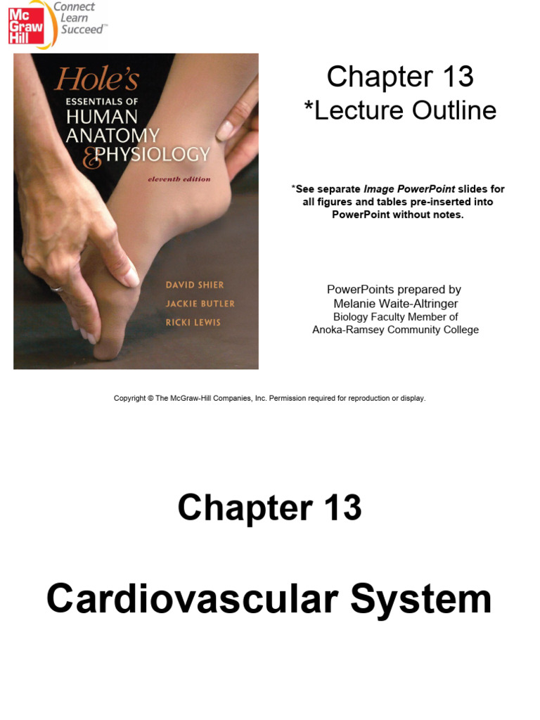 ANATOMY AND PHYSIOLOGY CHAPTER 13 CARDIOVASCULAR SYSTEM QUIZLET intelligence overview