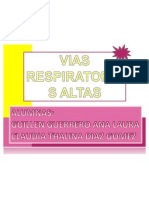 Vias Respiratorias Altas y Bajas