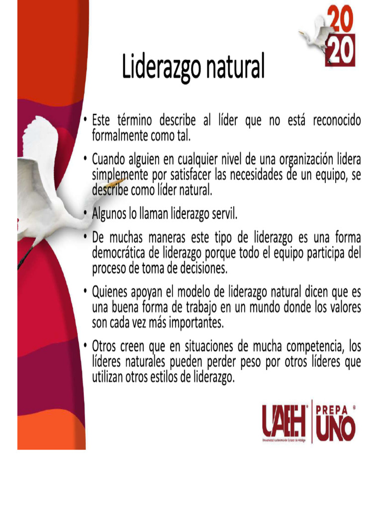 Tripos Líder | PDF