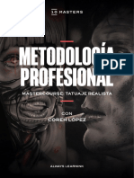 Metodologia-Profesional Coreh
