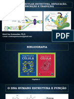 Apresentação - Genética Molecular (Estrutura-Replicação-Transcrição e Tradução)