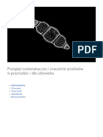 Przeglad Systematyczny I Znaczenie Protistow W Przyrodzie I Dla Czlowieka