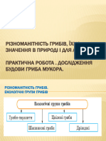 Різноманітність грибів, їхнє значення в природі і для людини. Практична робота. 5 клас