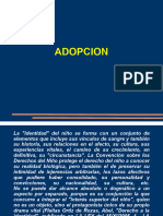 Adopcion 2020-1