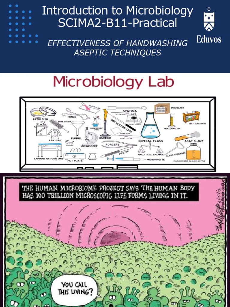Handwashing and Aseptic Techniques Guide | PDF | Disinfectant ...