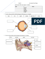 Assessment - Sense Organs