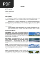 Weather Forecast Script | PDF | Weather | Rain