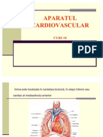 Aparatul Cardiovascular Curs 10