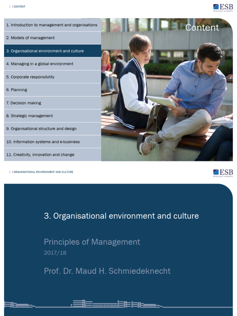 Understanding Organizational Culture & Environment | PDF ...