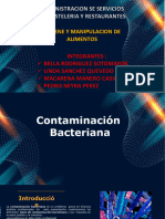 Tipos de Contaminacion Bacteriana