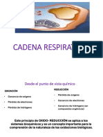Cadena Respiratoria PDF