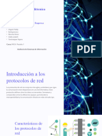 Introduccion A Los Protocolos de Red