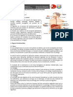 GUIA DE APRENDIZAJE ¿Qué Es El Sistema Digestivo