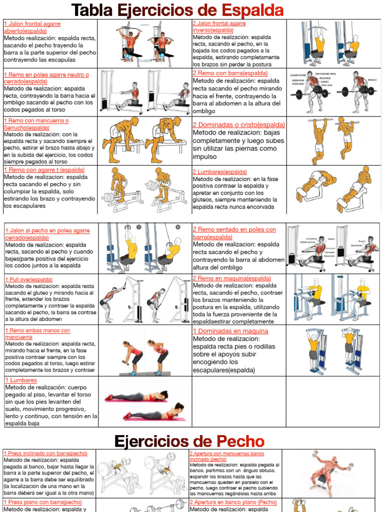 Pecho Tabla Ejercicios Mancuernas Pdf Tabla De Ejercicios Con