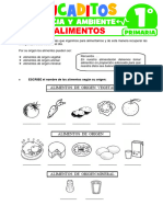 Los-Alimentos-para-Primer-Grado-de-Primaria