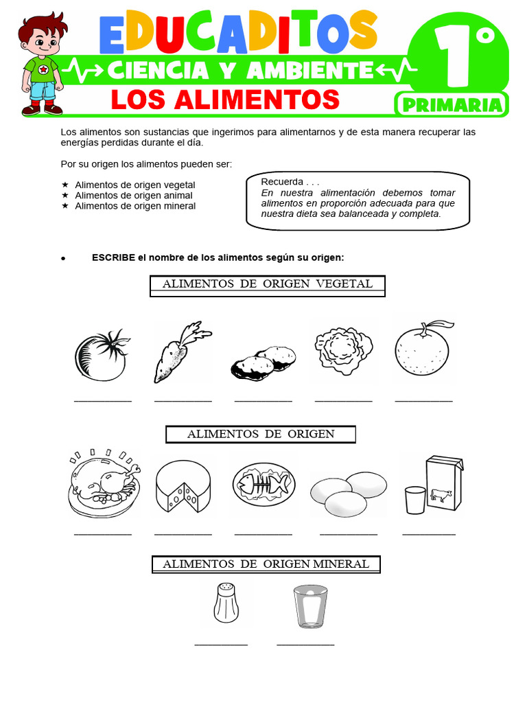 Los Alimentos para Primer Grado de Primaria | PDF | Alimentos | Nutrición