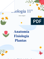 2024 11deg Anatomia y Fisiologia de Las Plantas