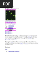 Download Rhino Virus by Jefferson Manasan SN73644809 doc pdf