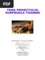 PROIECT 2 - ZANA TOAMNA