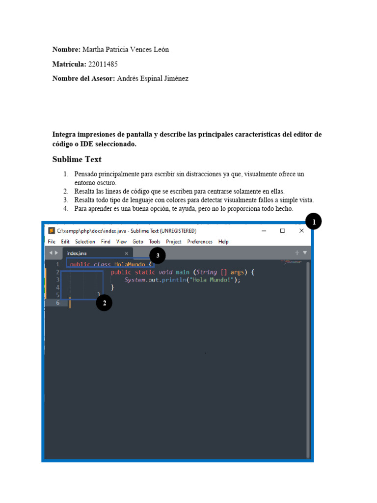 Vences Martha R2 U1 | PDF | Juegos y actividades | Arte