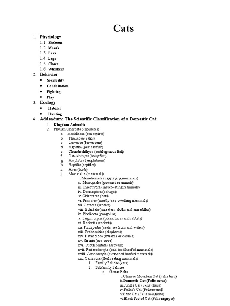 Understanding Cat Physiology and Behavior | PDF