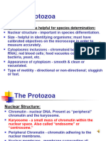 Topic 3- Intestinal and urogenital protozoa