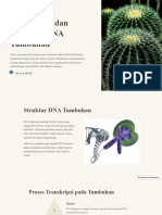 Transkripsi Dan Translasi DNA Tumbuhan