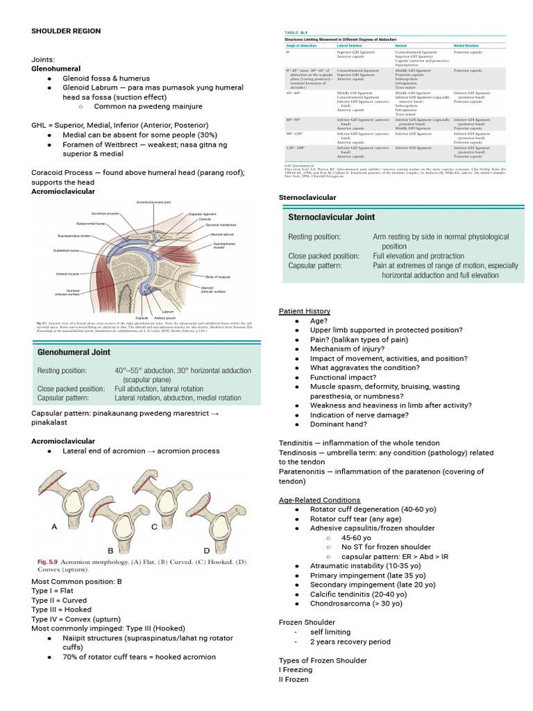 Shoulder Region | PDF | Shoulder | Musculoskeletal System