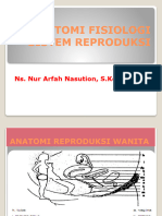 Anatomifisiologisistemreproduksi 120112003922 Phpapp02