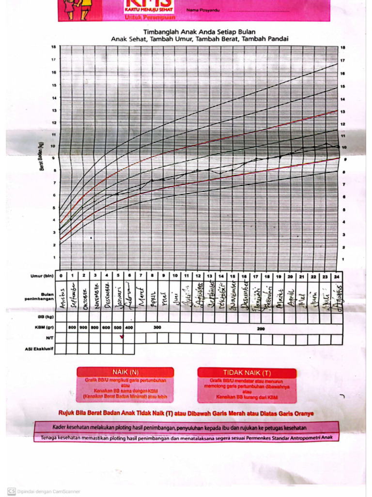 1 2 Deteksi Perkembangan Anak Pdf