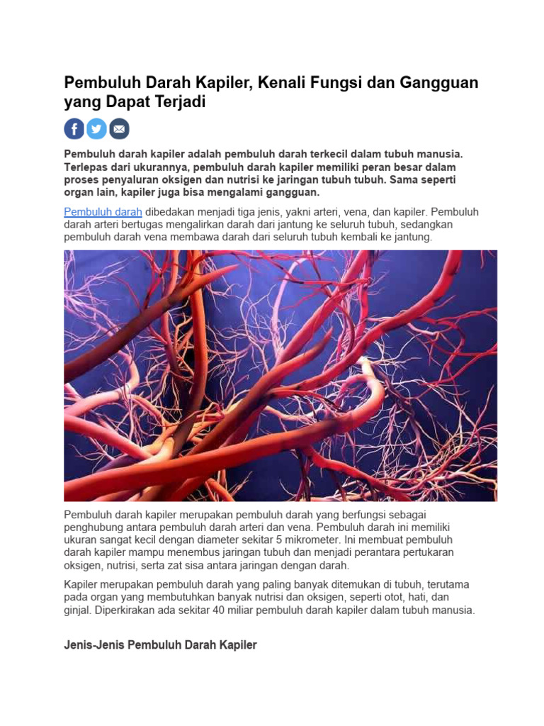 Fungsi dan Gangguan Pembuluh Kapiler | PDF