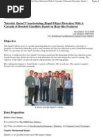 Download Tutorial_ OpenCV Ha Art Raining Rapid Object Detection With a Cascade of Boosted Classifiers Based on Haar-Like Features - Naotoshi SEO by api-26400509 SN7365150 doc pdf