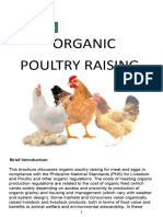 Organic Poultry Raising