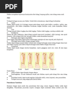 Download fraktur-patah-tulang by AyuMeilinaSari SN73652956 doc pdf