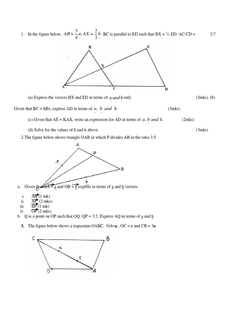 Vector Mathematics Exercises | PDF