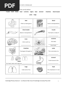 Fill Out The Blanks Using The Words Below.: Cambridge Primary Science 3 Unit 4: Staying Alive