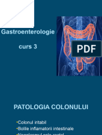 Curs 4 - Colon - AMG