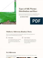 Types of Silk Worms Distribution and Race