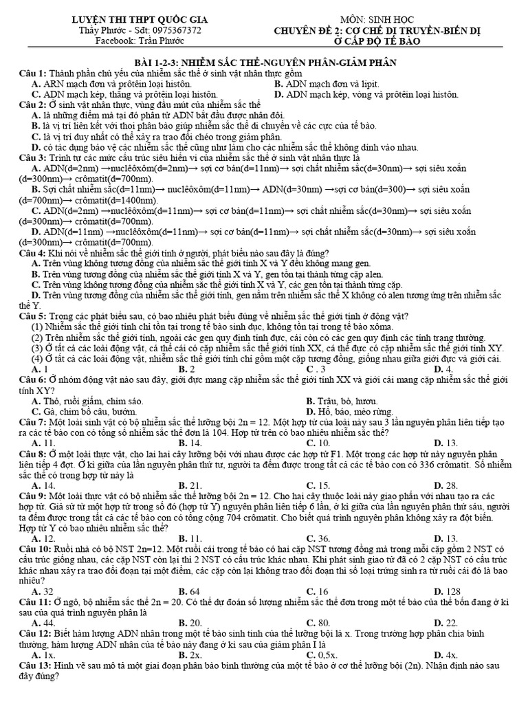 NST NP GP | PDF