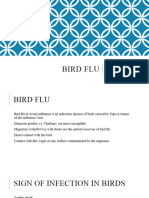 Bird Flu, SARS, Dengue