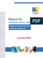 Reporte Dimension Social Salud