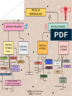 Mapa Conceptual FPG