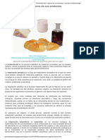 Fermentaciones y Algunos de Sus Productos Apuntes de Biotecnologia