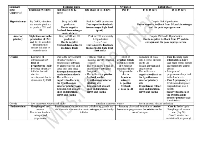 Female Reproductive Cycle Stages | PDF | Luteinizing Hormone ...
