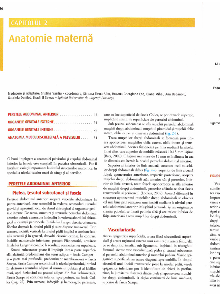 1 a Anatomia Clinica Si Fiziologia Organelor Genitale | PDF