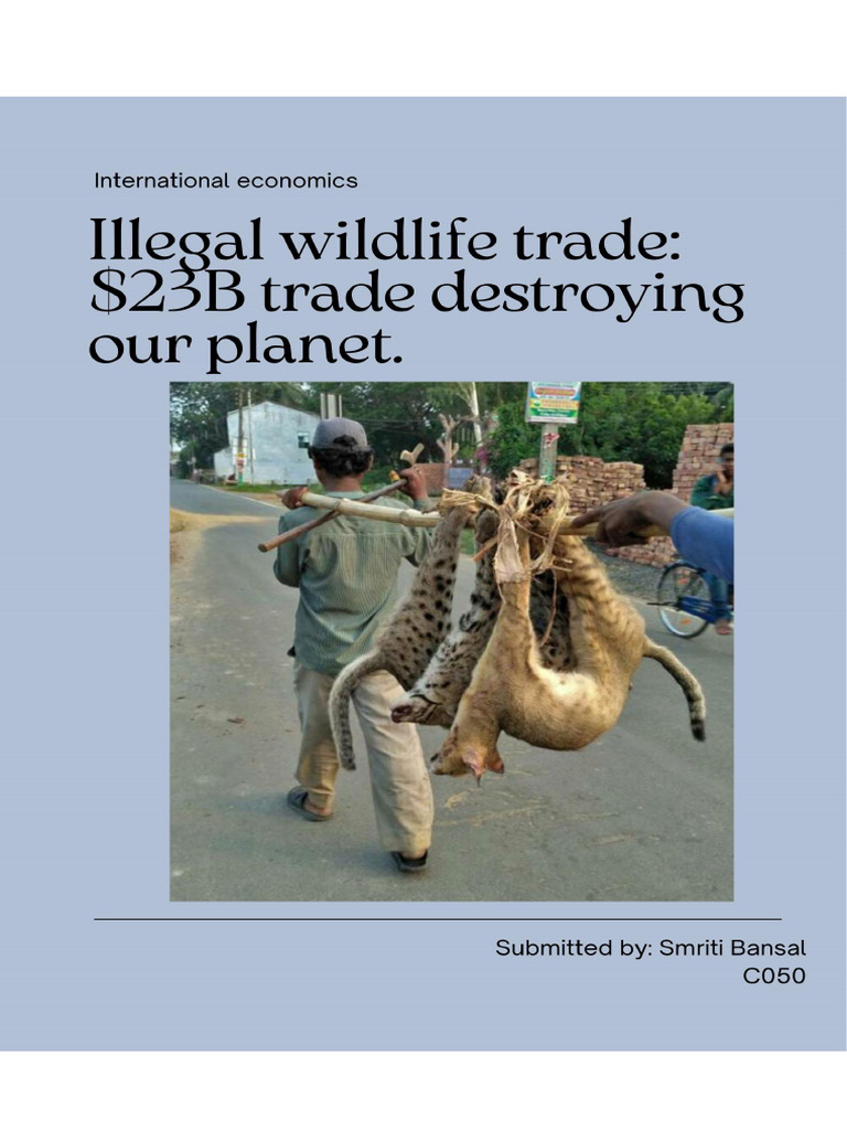Illegal Wildlife Trade | PDF | Poaching | Crime & Violence