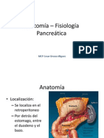 Anatomía – Fisiología Pancreatica