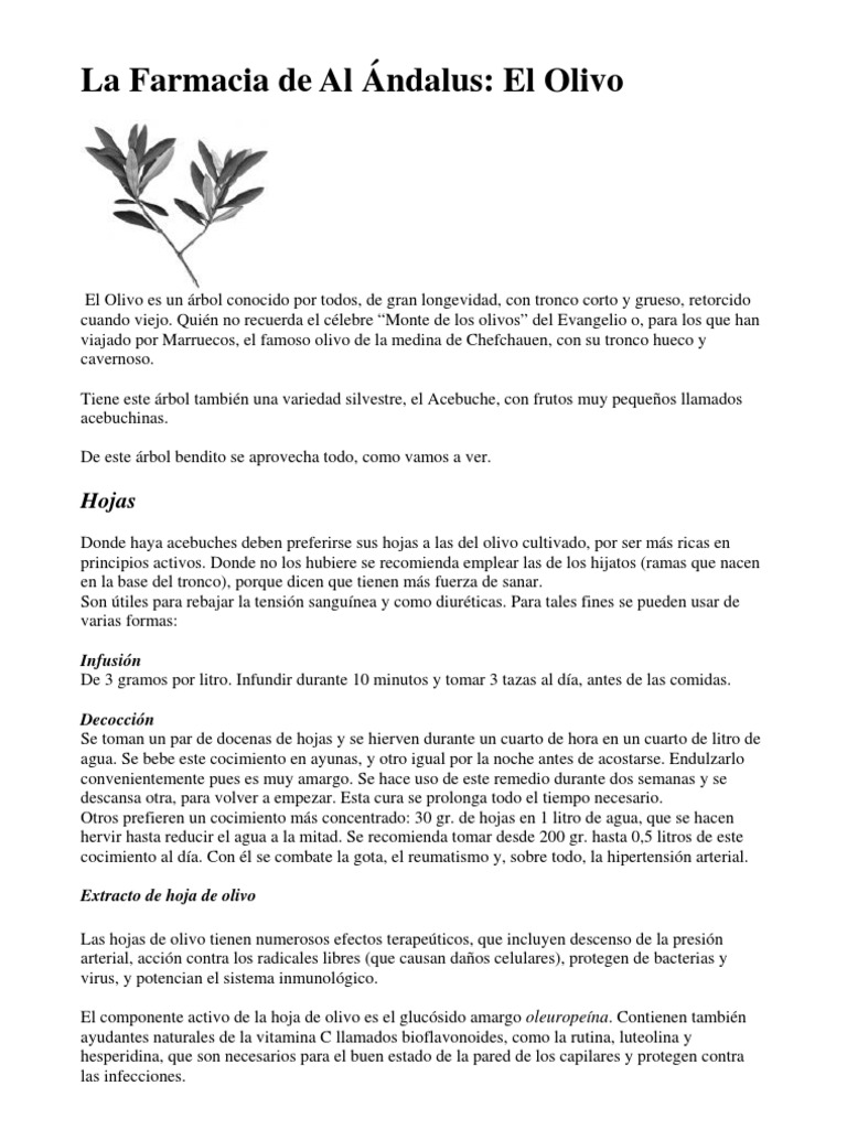 Ciencia y Beneficios Extracto de HOJA de OLIVO PDF Virus Infección